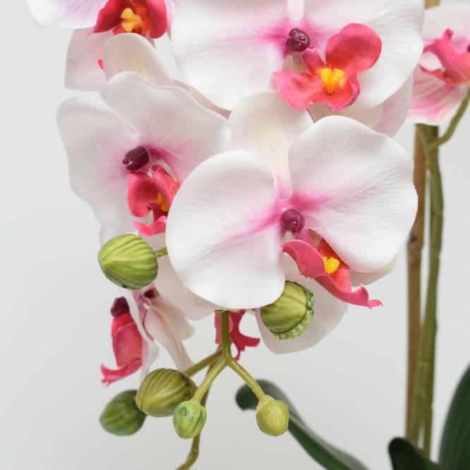 Orhidee artificiala Phalaenopsis  alb-rosu in vas ceramic, 60 cm