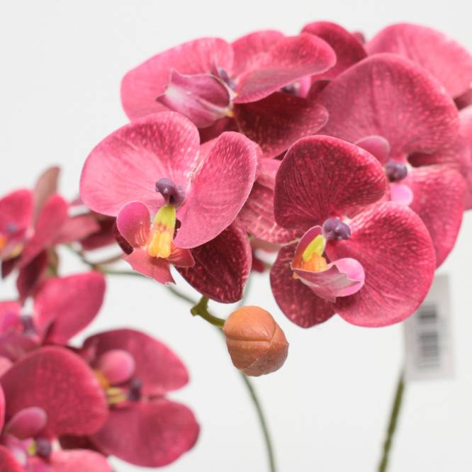 Orhidee Phalaenopsis burgundy artificiala in vas argintiu ceramic, 54 cm