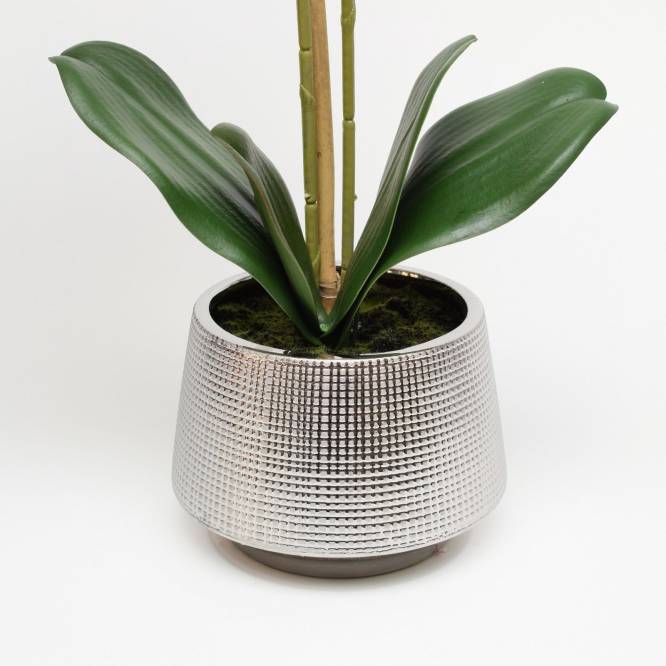 Orhidee artificiala Phalaenopsis  alb-rosu in vas ceramic, 60 cm