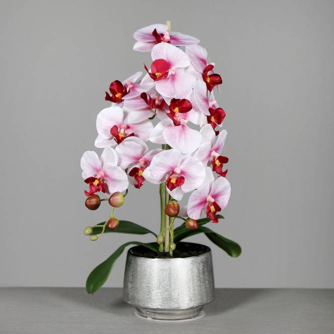 Orhidee artificiala Phalaenopsis  alb-rosu in vas ceramic, 60 cm