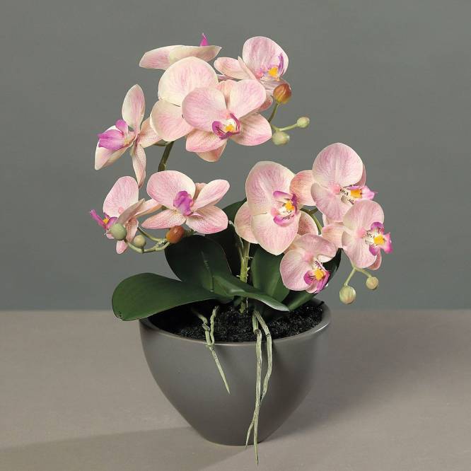 Orhidee artificiala Phalaenopsis roz deschis in vas ceramic, 35 cm